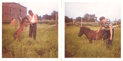 Pony 19 jul 1972 - PVL - Mendop